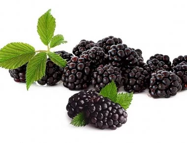 Δεν θα το πιστέψεις! - Ποια αγαπημένα σου τρόφιμα είναι απαγορευμένα σε άλλα κράτη